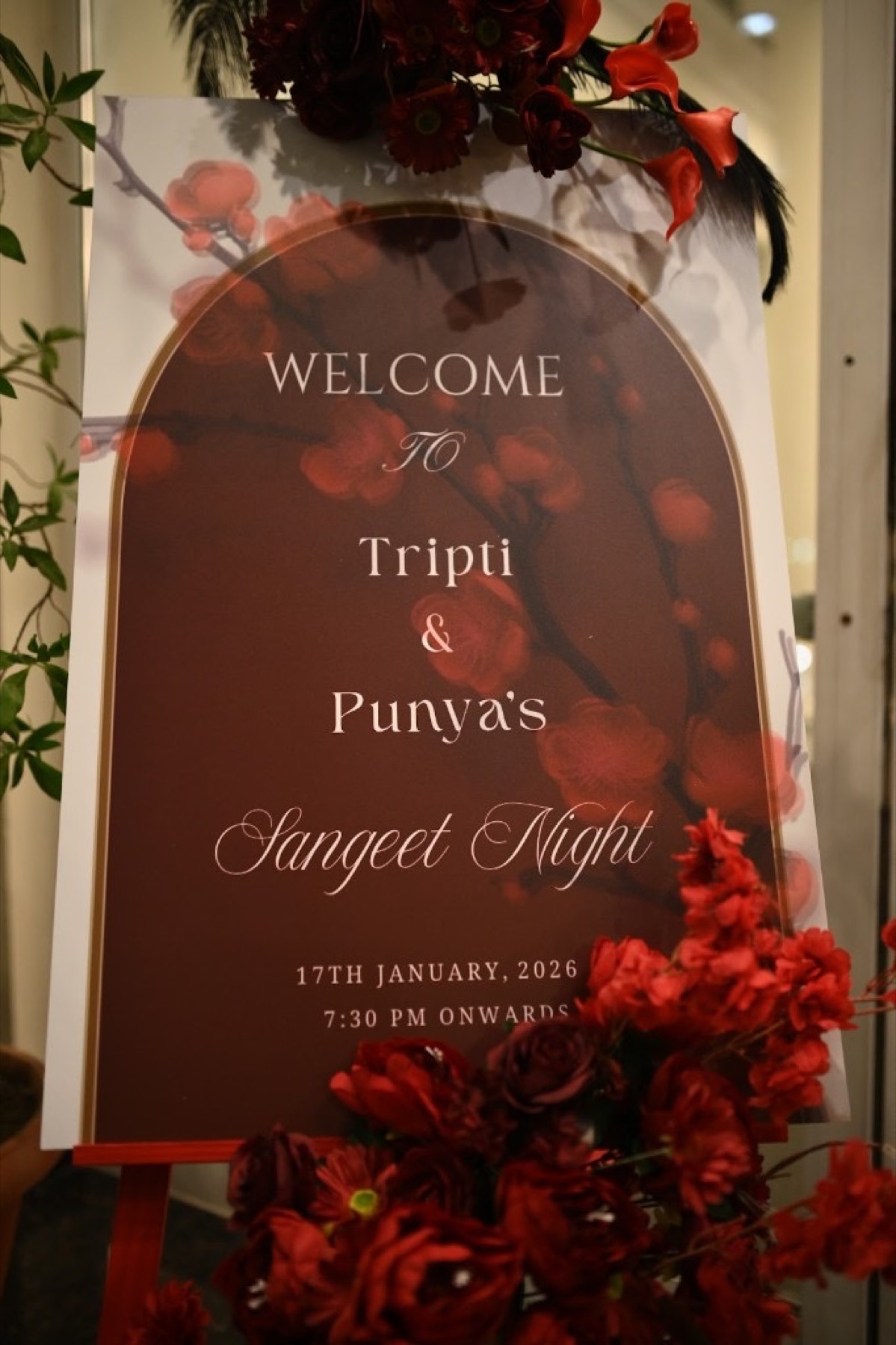 Tripti & Punyas
