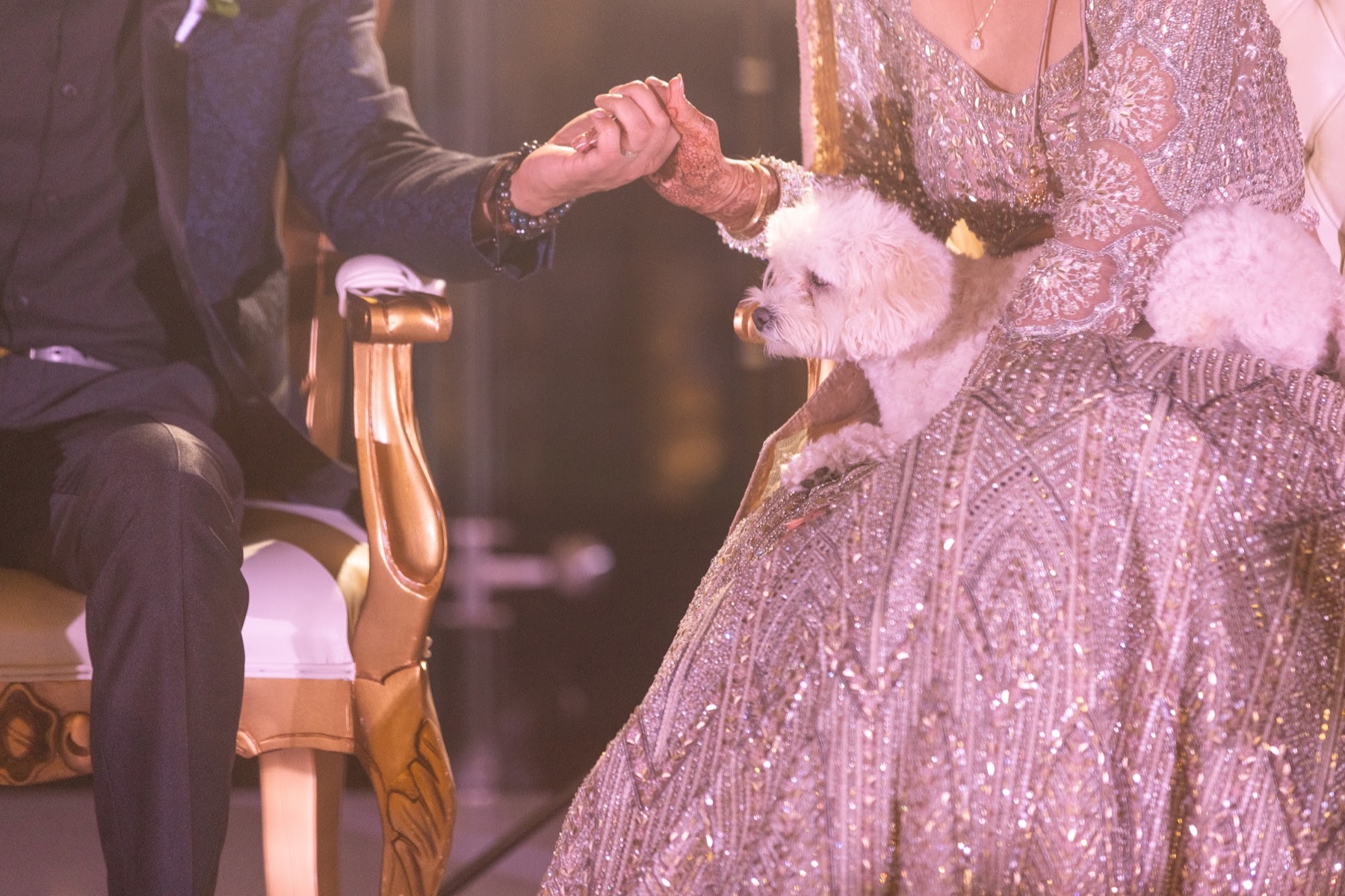 Tania & Saurav — celebration frame